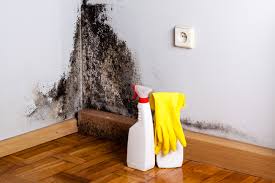 Biohazard Mold Removal in Capitol Heights, MD